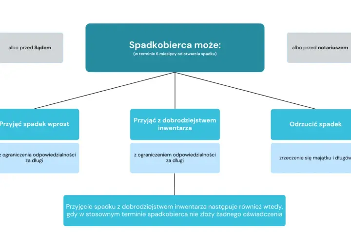 Czy można zrzec się długów po rodzicach za życia? Schemat pokazuje opcje spadkobiercy: przyjąć spadek wprost, z dobrodziejstwem inwentarza lub odrzucić.